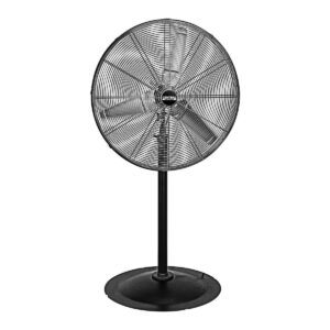 Pedestal Fan