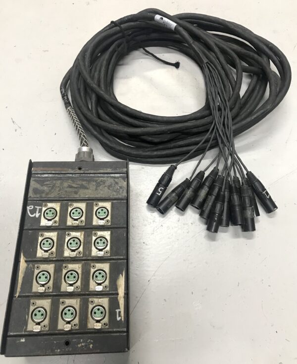 Audio Snake - 12 Ch, 50'