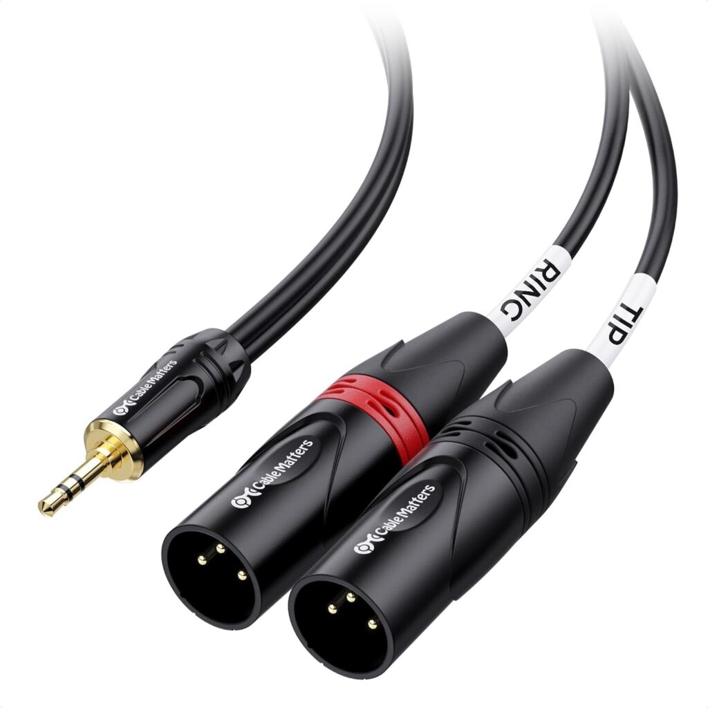 AUX to Dual XLR