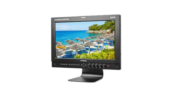 Flanders DM170 17" Monitor